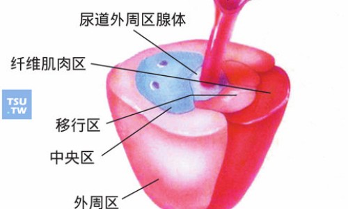 银丹心脑通胶囊说明书用法用量-银丹心脑通胶囊主治网 - 网站提供银丹心脑通片的功效小常识、银丹心脑通胶囊的药理作用